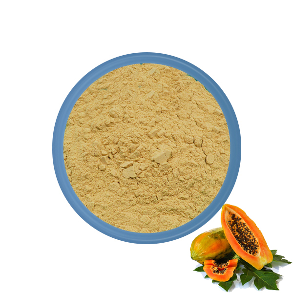 Papaya Powder Fruit Extract