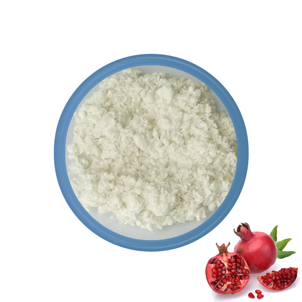 Pomegranate Extract (90% Ellagic Acid)