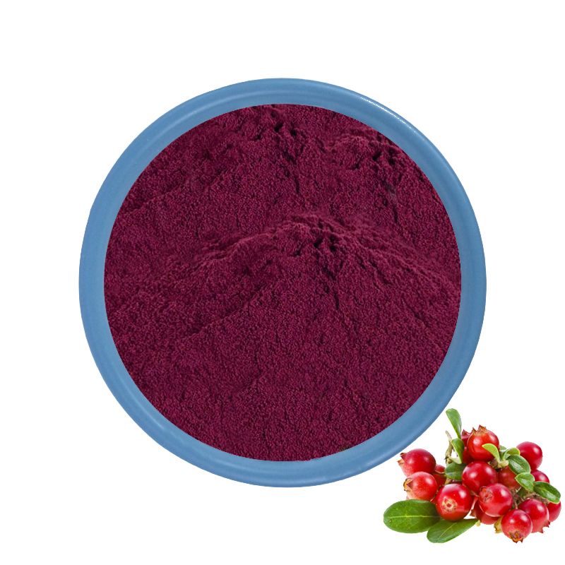 Bilberry Extract Powder 25%