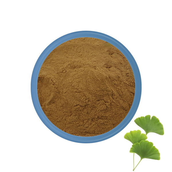 Ginkgo Biloba Leaf Extract Powder Bulk 25kg
