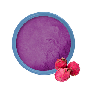 Best Dragon Fruit Juice Powder