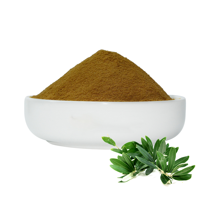 Olive Polyphenol Extract YanggeBiotech
