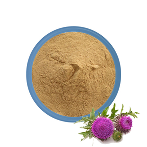 Milk Thistle Extract Manufacturer 