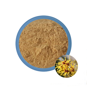 Witch Hazel Extract for Piles