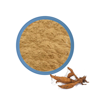 Pueraria Root Extract