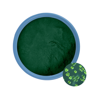 Buy Organic Chlorella Powder