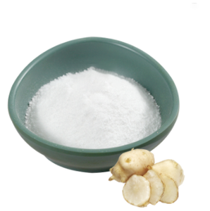 Organic Inulin Powder Bulk