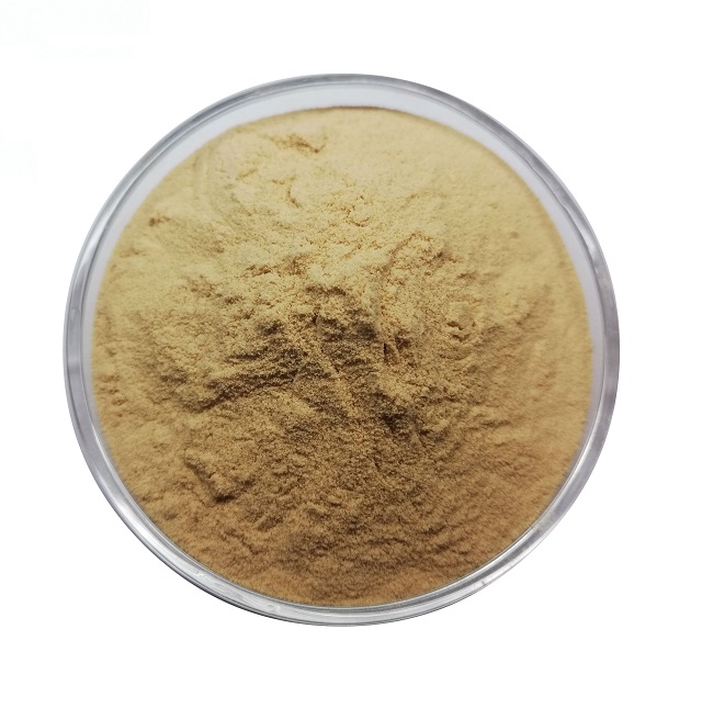 Butcher´s Broom ( Ruscus Aculestus) Extract Powder