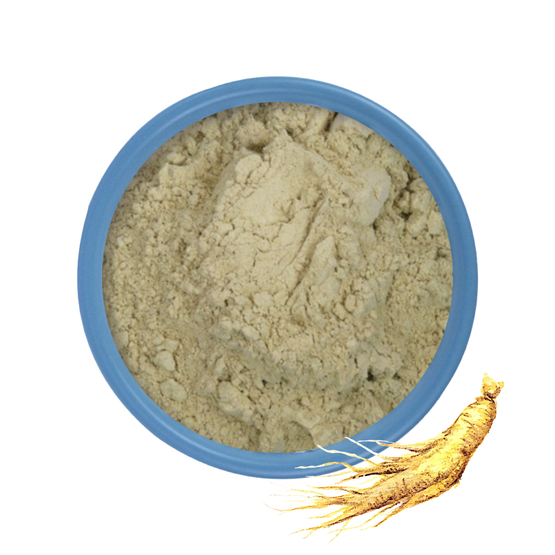 Ginseng Root Extract Manufacturer