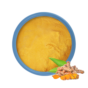 Curcumin 95% Turmeric Root Extract