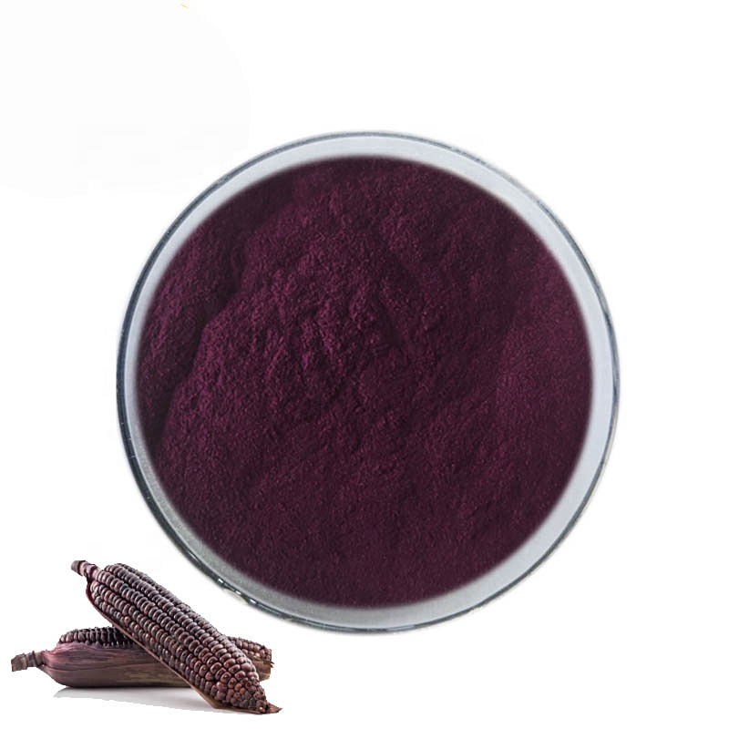 Purple Corn Extract Powder Anthocyanidins 10%