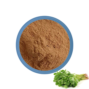 Bacopa Monnieri Extract Powder