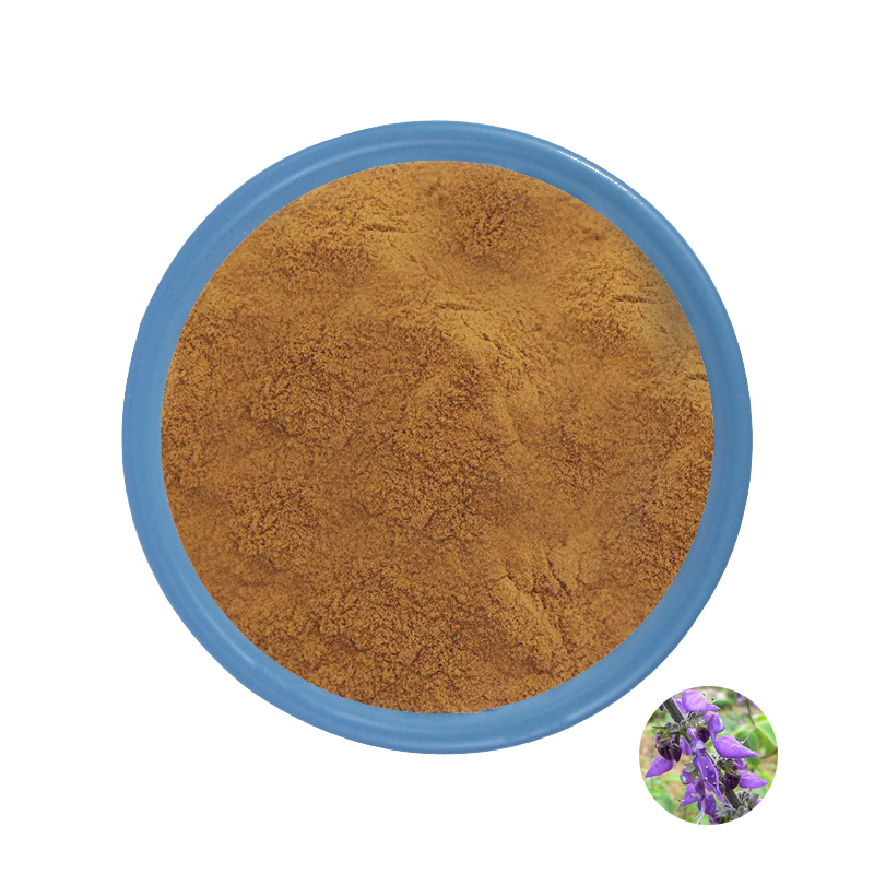 Best Coleus Forskohlii Root Extract Powder