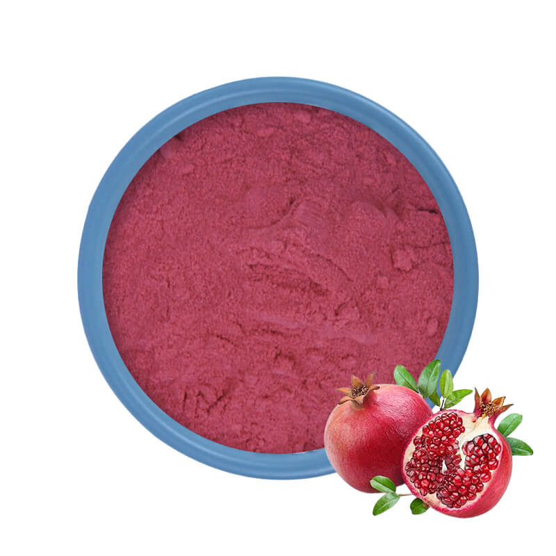 Pomegranate Juice Powder Bulk