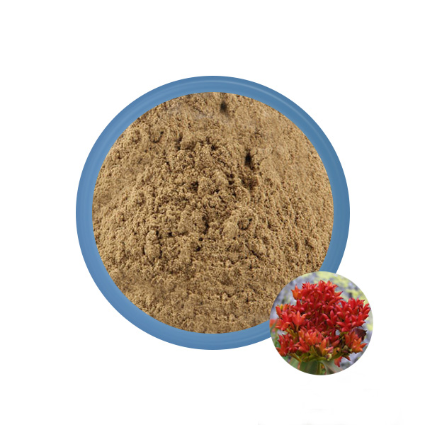 Rhodiola Rosea Extract Manufacturer