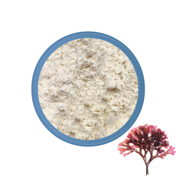 Organic Irish Sea Moss Powder Wholesale