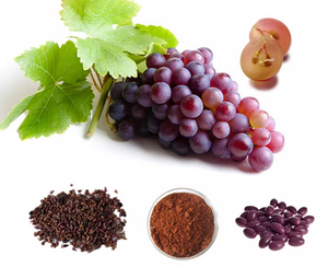 Grape seed extract 95 opc-YANGGEBIOTECH.png