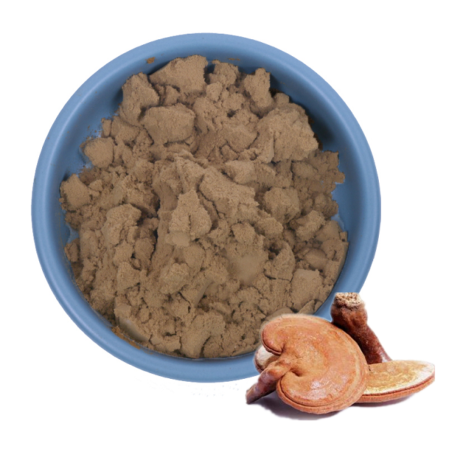 Lucid Ganoderma Extract Reishi Mushroom Extract 35%