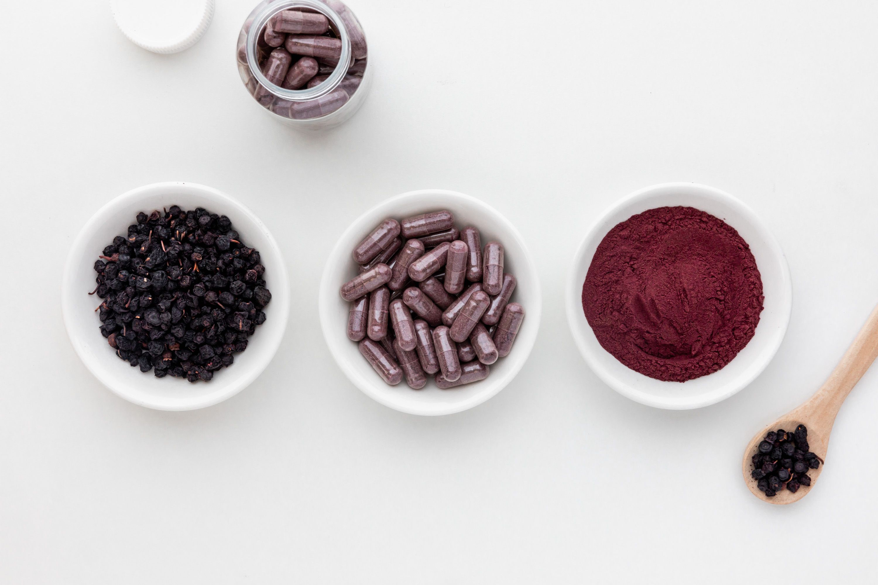 Blueberry Extract Eye Health YanggeBiotech