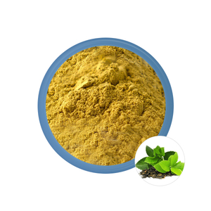 Green Tea Extract 